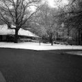 2019-02-09-16-37-035