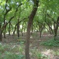 2007-07-21 Dean Farm 02