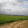 2007-07-21 Dean Farm 05