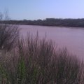 2010-03-26 Dean Farm 04