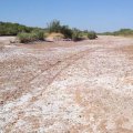 2011-08-06 Dean Farm 02