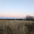 PXL_20211118_233720189