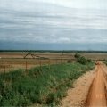 1989-06-14 Red Springs - Power lines down