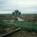 1989-06-14 Red Springs 01