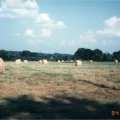 1994-08-01 Red Springs