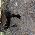 2019-09-05 Red Springs House 3