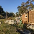 2020-11-08 Red Springs 16
