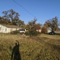 2020-11-09 Red Springs 22