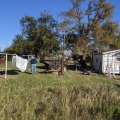 2020-11-11 Red Springs 05