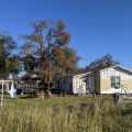 2020-11-11 Red Springs 06