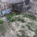 PXL_20210405_205122801