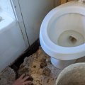 PXL_20211115_150305326