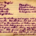 All-Bran Muffins