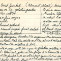 Almond Curd Junket