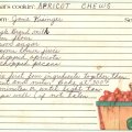 Apricot Chews - Janie Kisinger