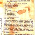 Blueberry Crunch Cake