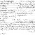 Blueberry Dumplings - Shirley Reynolds