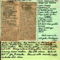 Chicken Enchiladas