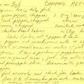 Chicken in Foil (Camping Recipe)