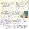 Cornbread-Sage Dressing for Turkey