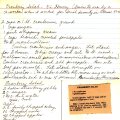 Cranberry Salad 2