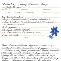 Cream of Broccoli Soup - Judy Googins