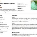 Easy Mint Chocolate Chip Ice Cream