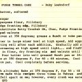 Fudge Tunnel Cake - Ruby Loehndorf