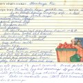 Hamburger Pie