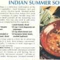 Indian Summer Soup