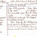 Oatmeal Cookies - Janie Kisinger 1