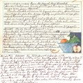 Oven Barbequed Beef Brisket - Jean Howard