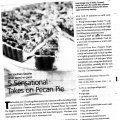 Pecan Pies