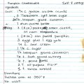 Pumpkin Cheesecake
