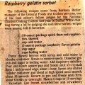 Raspberry Gelatin Sorbet