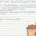 Sheersak Ice Cream - Christine Hailey