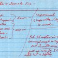 Tamale Pie - Marta