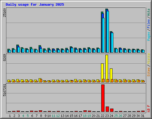 Daily usage for January 2025