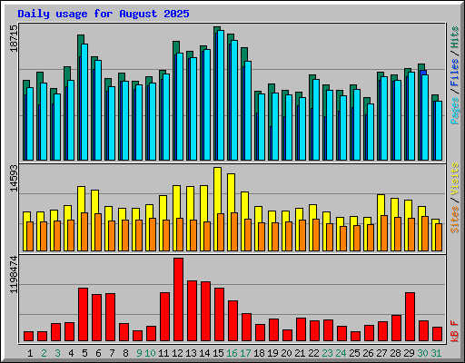 Daily usage for August 2025