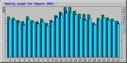 Hourly usage for August 2024