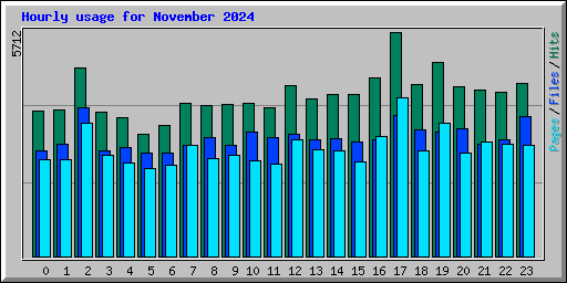 Hourly usage for November 2024