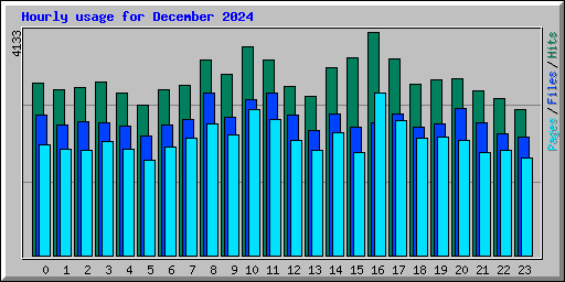 Hourly usage for December 2024