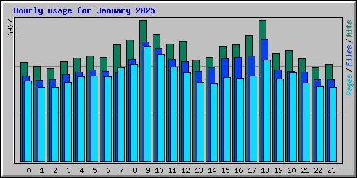 Hourly usage for January 2025