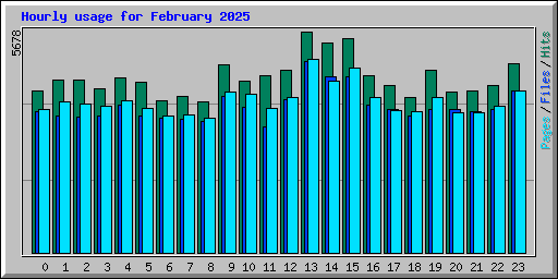 Hourly usage for February 2025