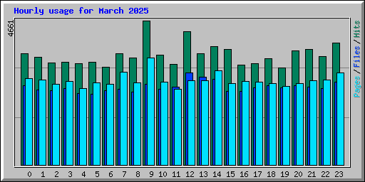 Hourly usage for March 2025