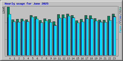 Hourly usage for June 2025