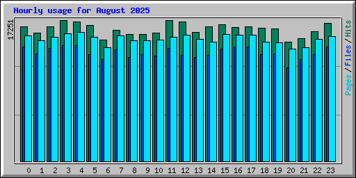 Hourly usage for August 2025