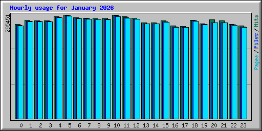 Hourly usage for January 2026