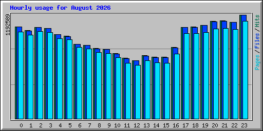 Hourly usage for August 2026